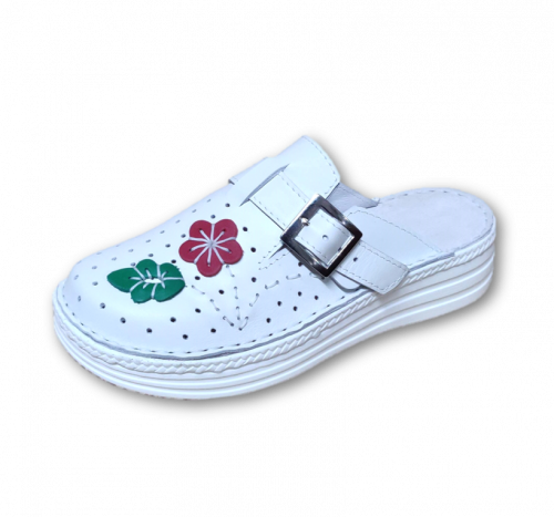 Saboti Albi cu floare rosie si frunza verde